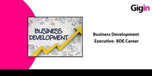business development executive