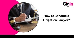 Litigation Lawyer